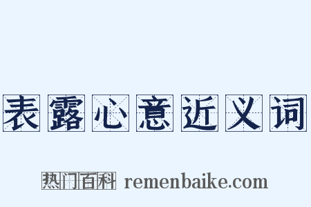 表露心意近义词是什么意思的图片